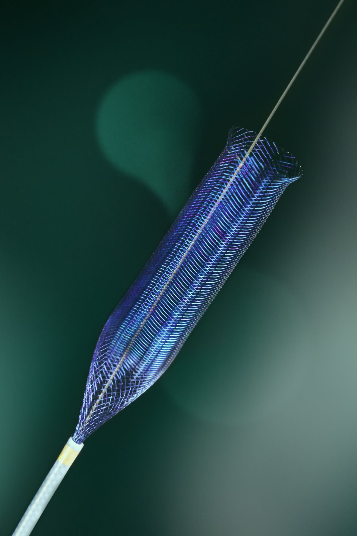 Stent-Silk-Vista-Baby.jpg