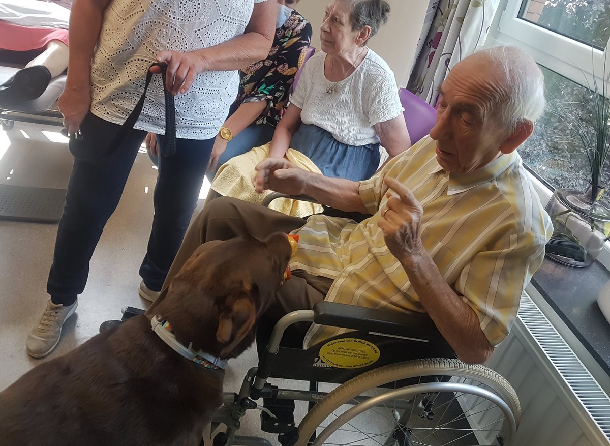 Le chien, un merveilleux médiateur auprès des personnes âgées et/ou handicapées